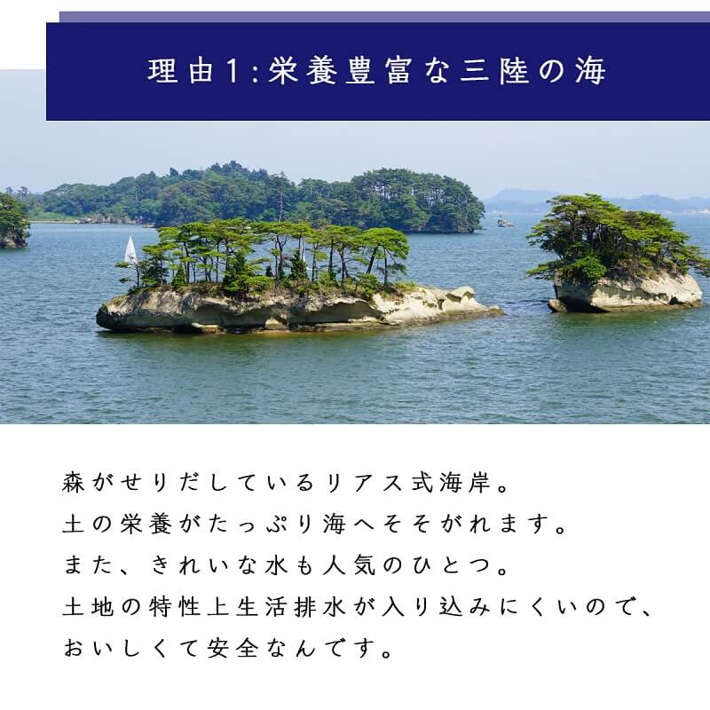 本田水産が選ばれる5つの理由1