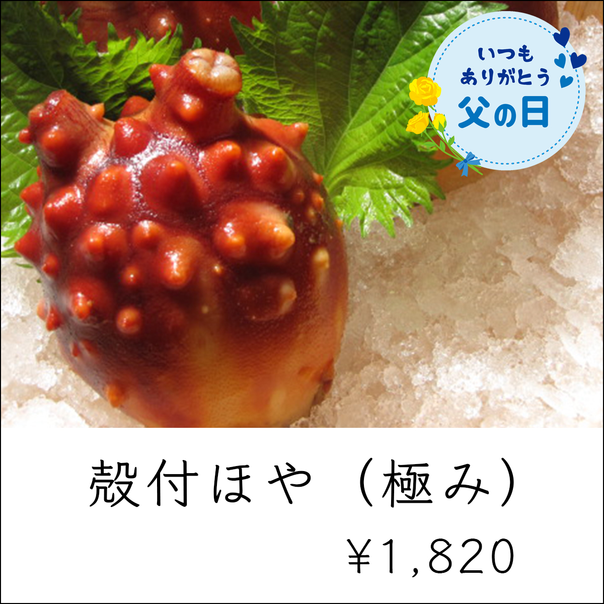 父の日ギフト_ほやの極み