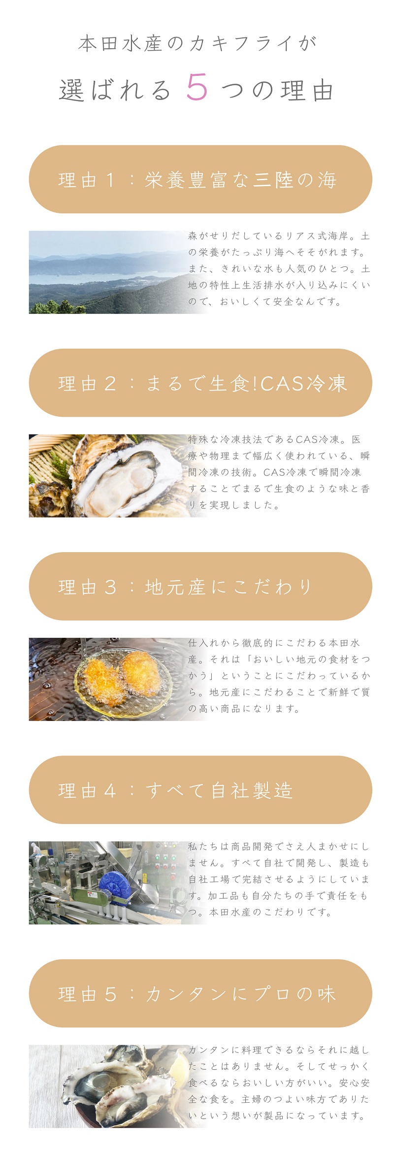 カキフライが選ばれる5つの理由