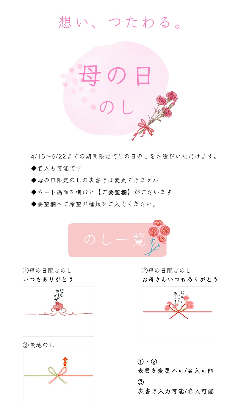 母の日に使えるのしの一覧