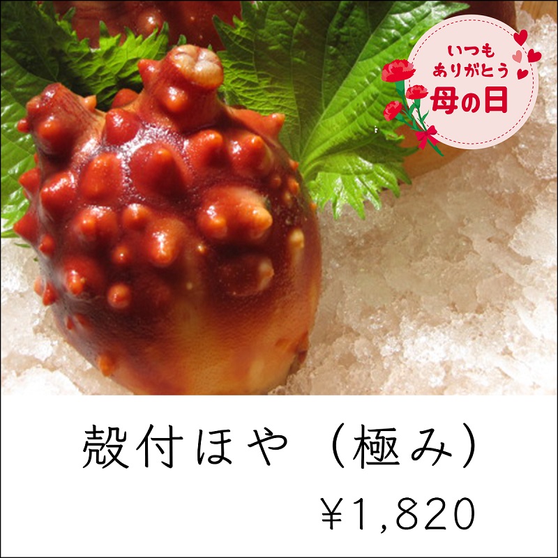 母の日ギフト_ほやの極み